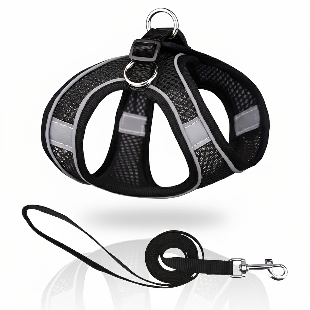 Ensemble Harnais Gilet Confort & Laisse Assortie – Respirant et Anti-Traction