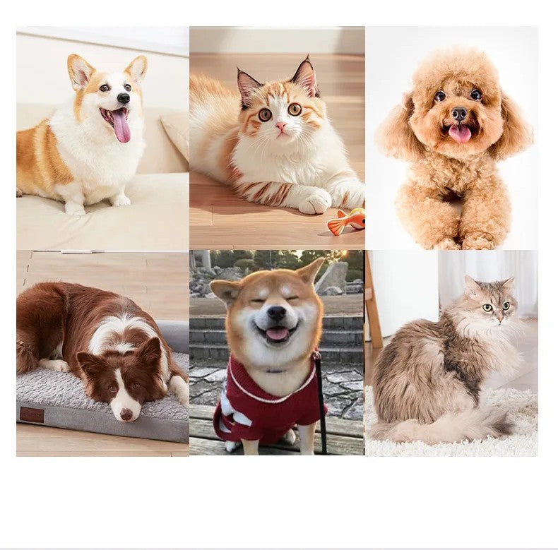 Nettoyeur de Pattes Électrique Automatique – Lave-Pieds Rotatif 360° pour Chien et Chat