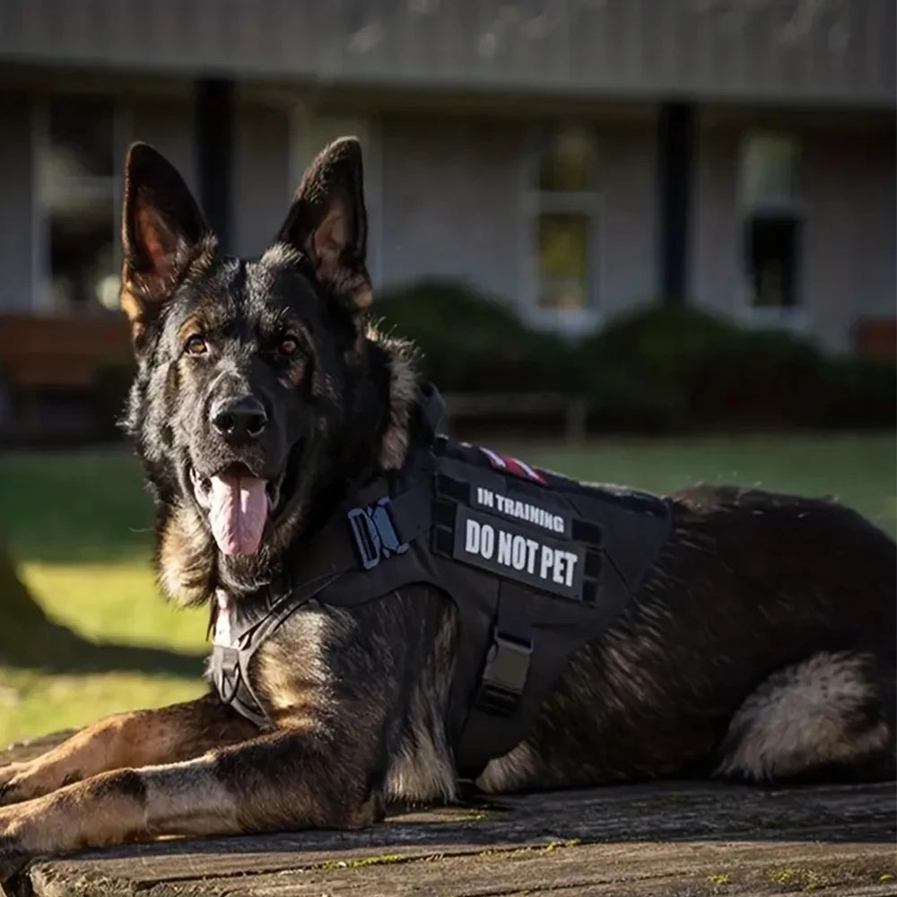 Tactical K9 Dog Harness Set – Heavy Duty Military Molle Vest (1050D Nylon)