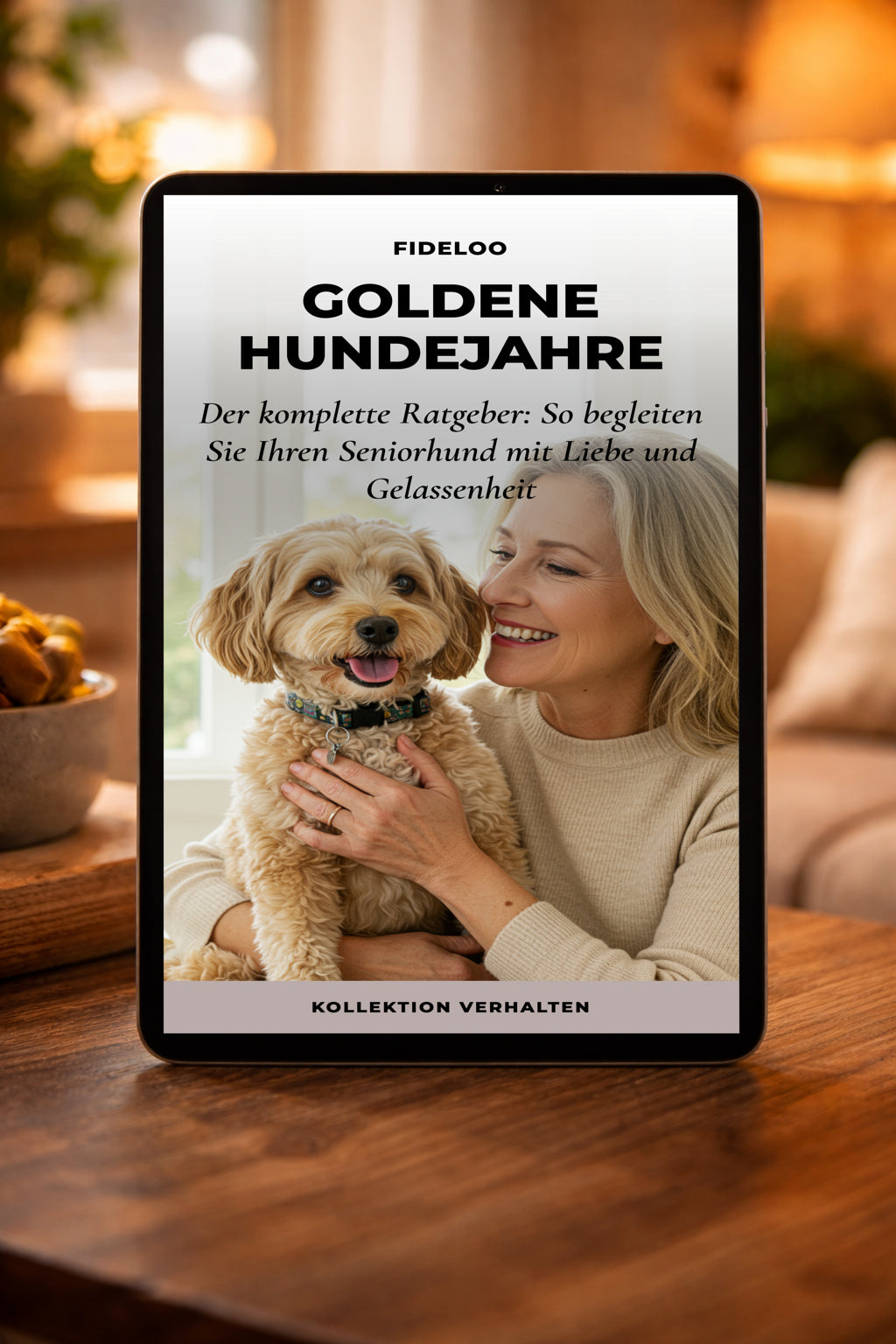 Goldene Hundejahre: Ratgeber für Seniorhunde | Fideloo