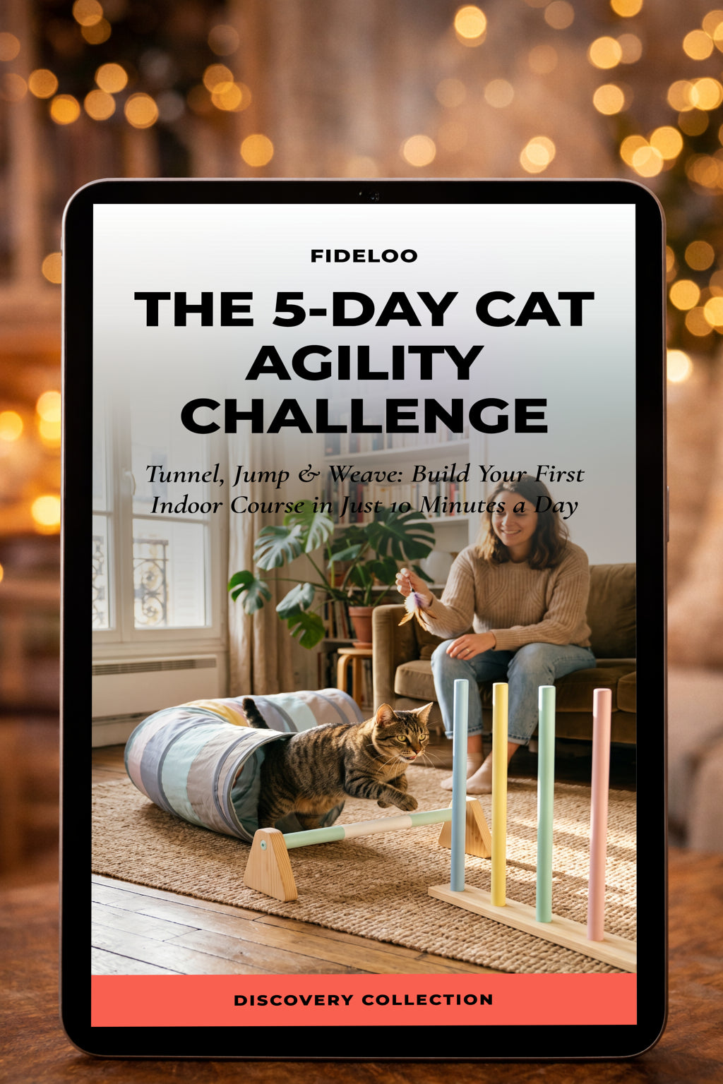 Free 5-Day Cat Agility Challenge Guide | Fideloo