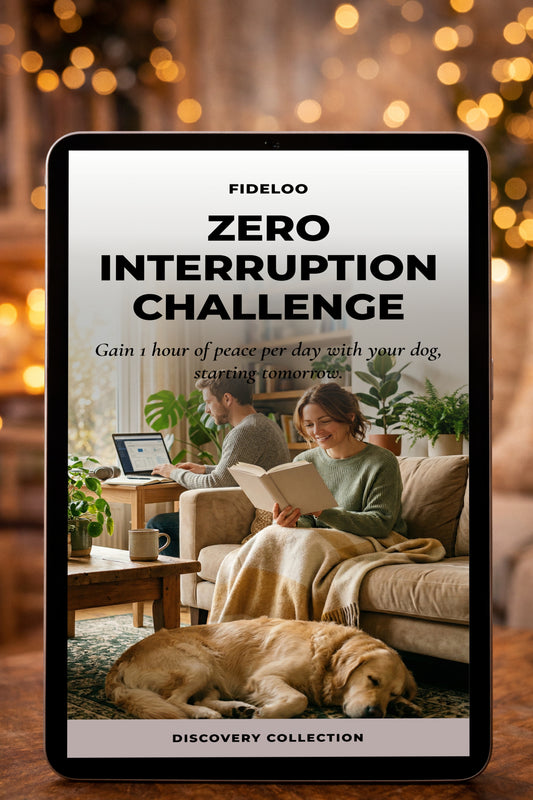 Free E-Book: Stop Dog Interruptions at Work
