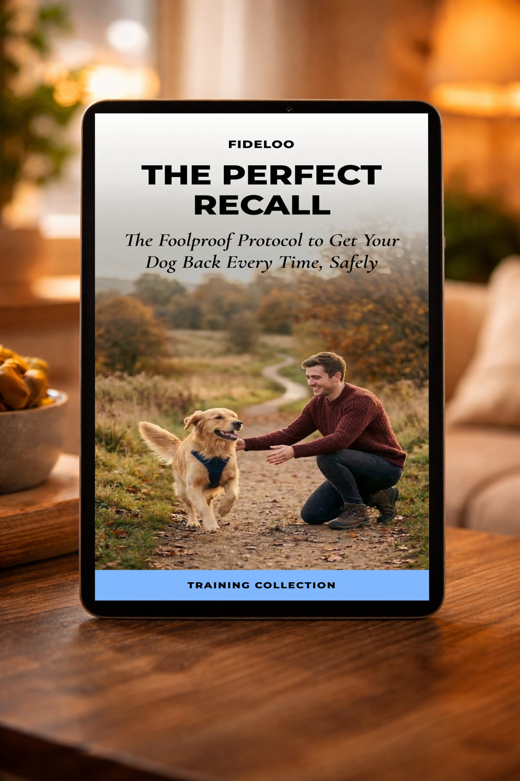 The Perfect Recall: Your Dog's Ultimate Recall E-Book