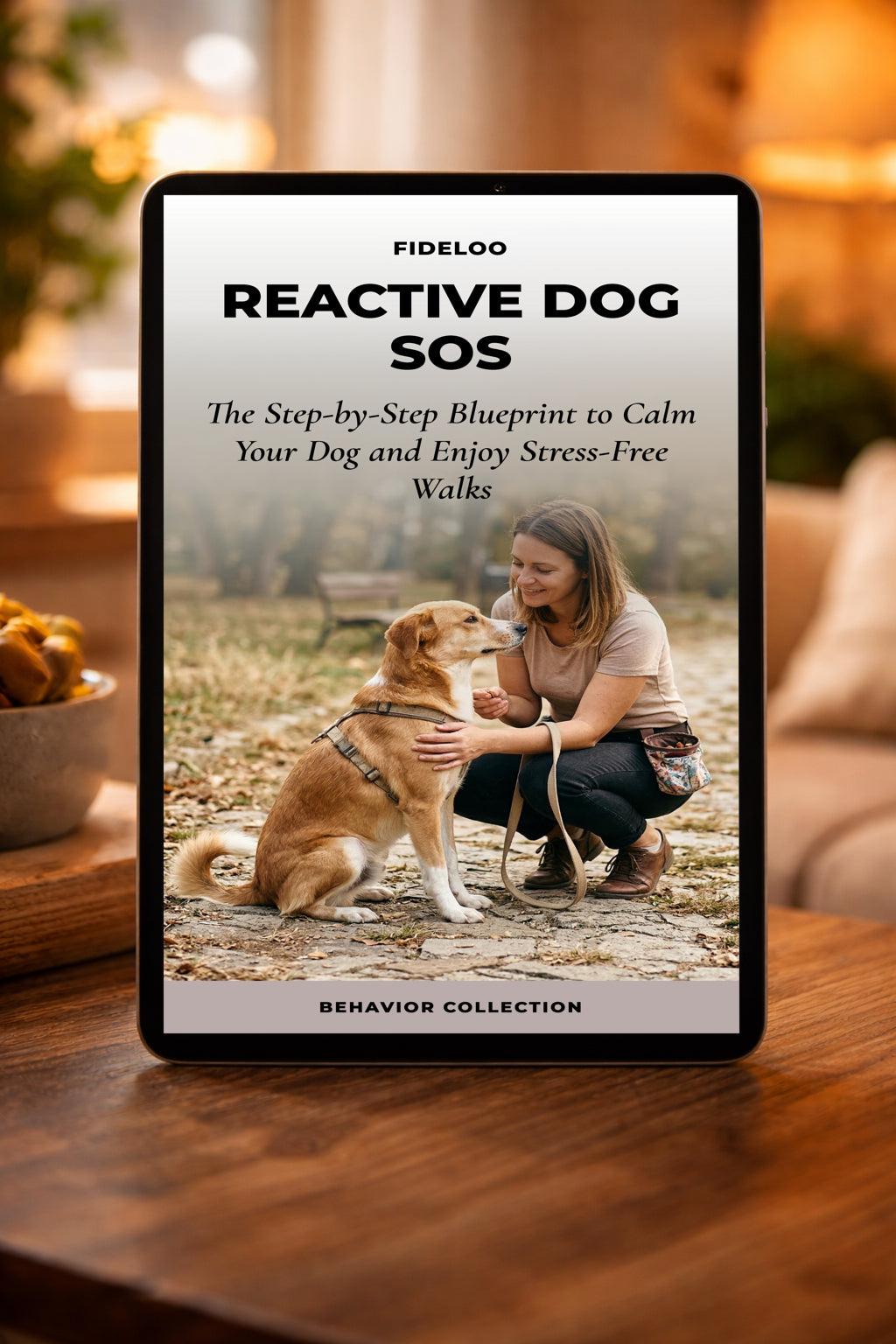 Reactive Dog SOS: The Blueprint for Calm Dogs