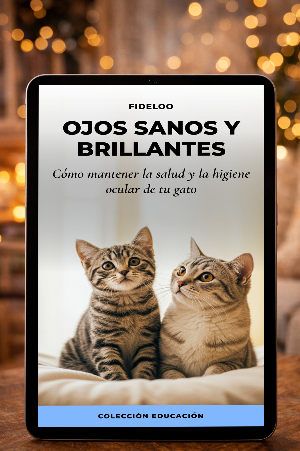 Ojos Sanos y Brillantes: La Guía Ocular para tu Gato