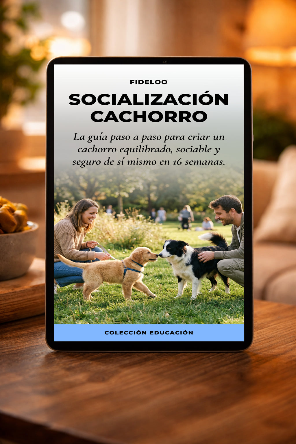 Socialización Cachorro: La Guía Definitiva de Fideloo