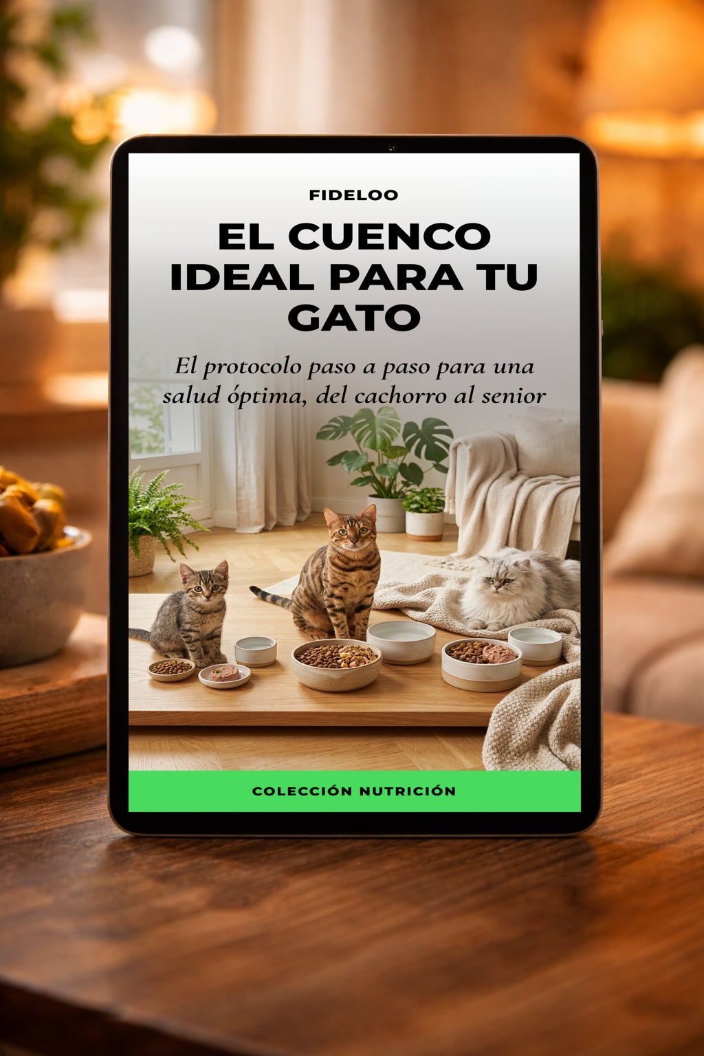 El Cuenco Ideal para tu Gato: Guía de Alimentación Fideloo