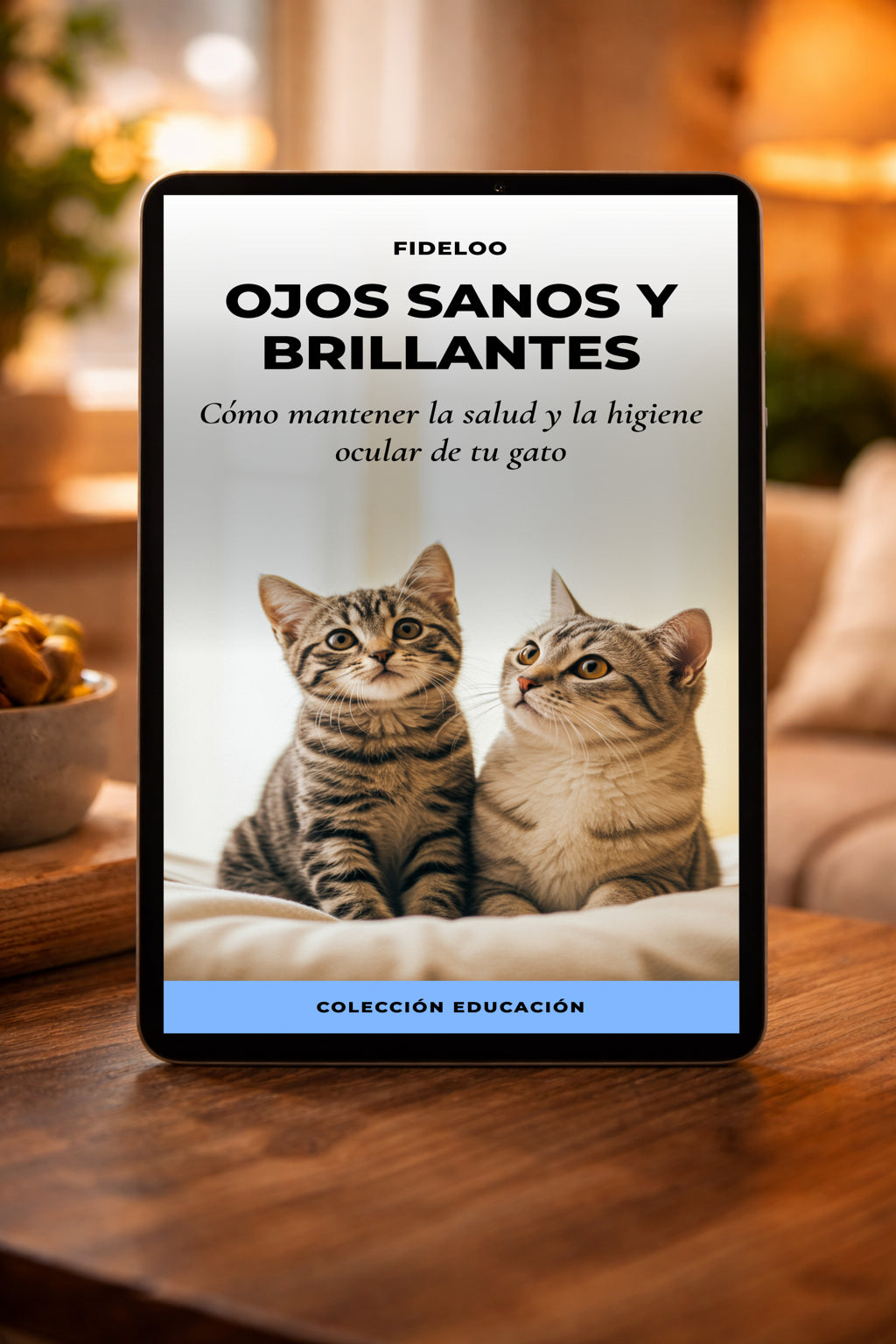 Ojos Sanos y Brillantes: La Guía Ocular para tu Gato