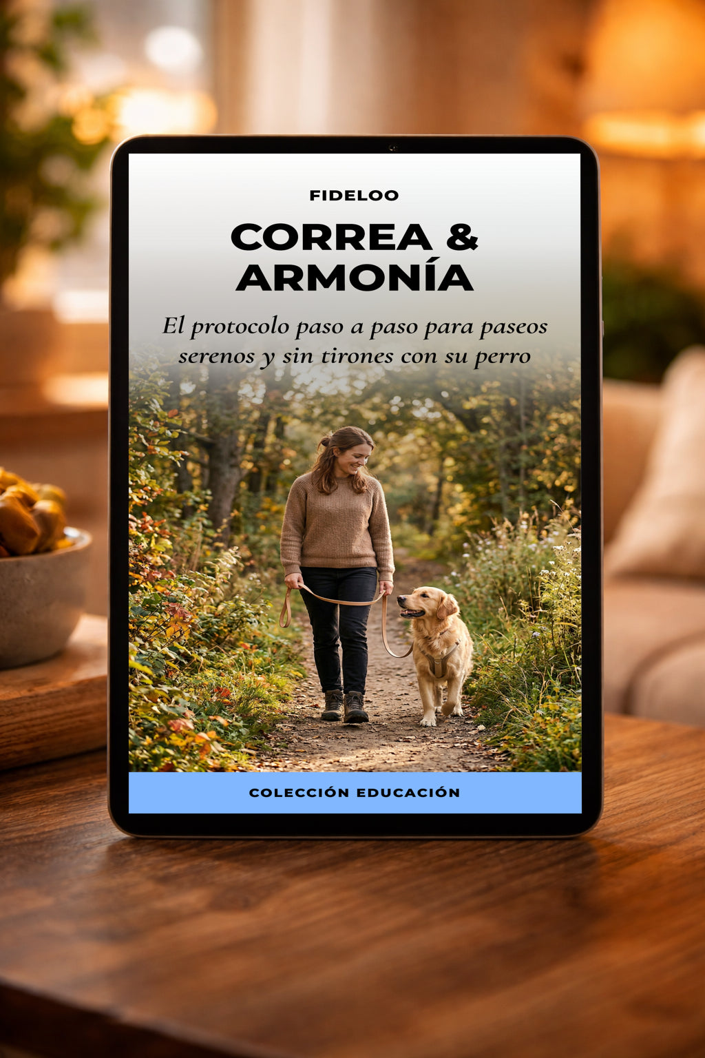 Correa & Armonía: Adiós a los tirones de correa | Fideloo