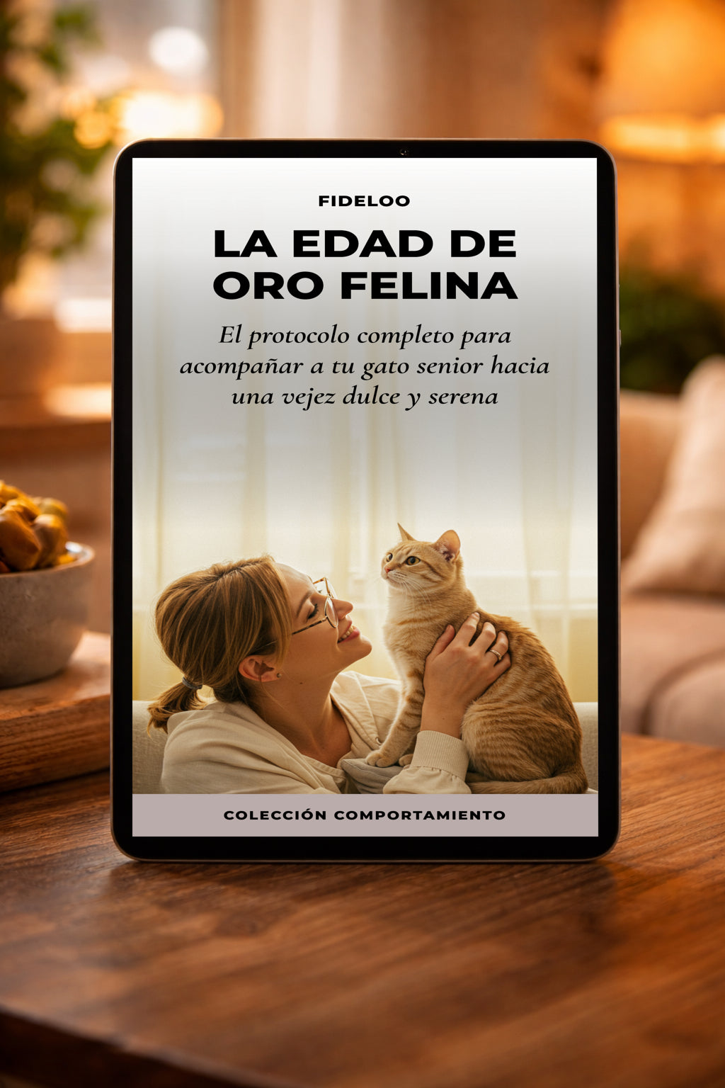 Guía Gato Senior: La Edad de Oro Felina por Fideloo