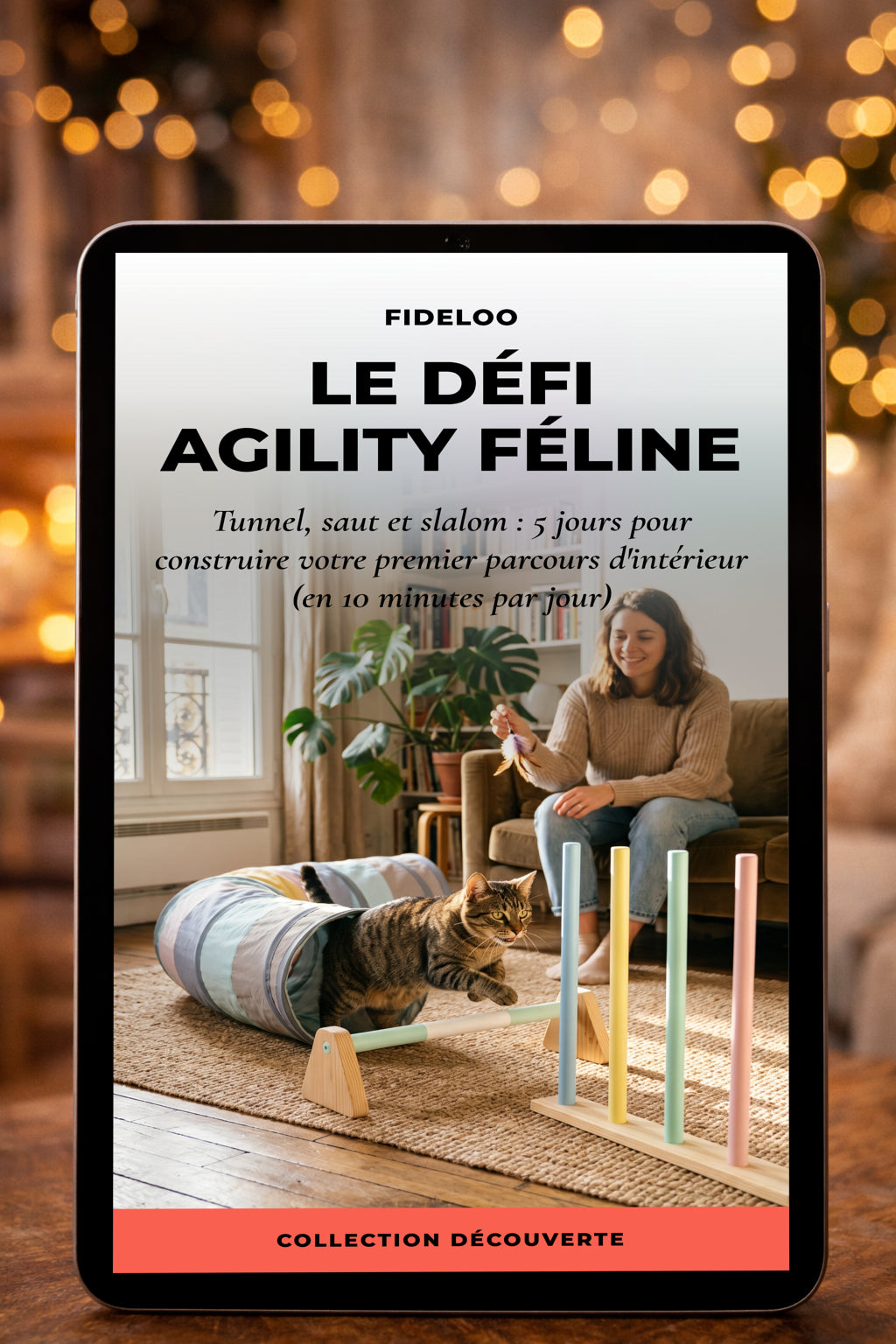 Agility Chat Intérieur : Votre Guide Fideloo OFFERT !