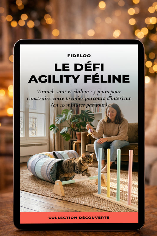 Agility Chat Intérieur : Votre Guide Fideloo OFFERT !