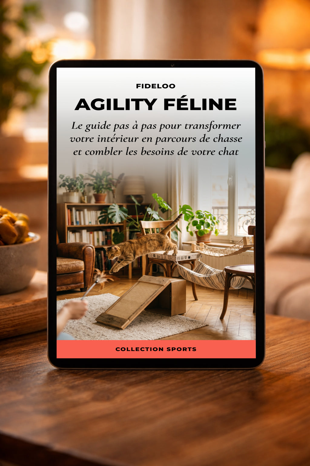 Agility pour Chat : Réveillez son Instinct de Chasseur