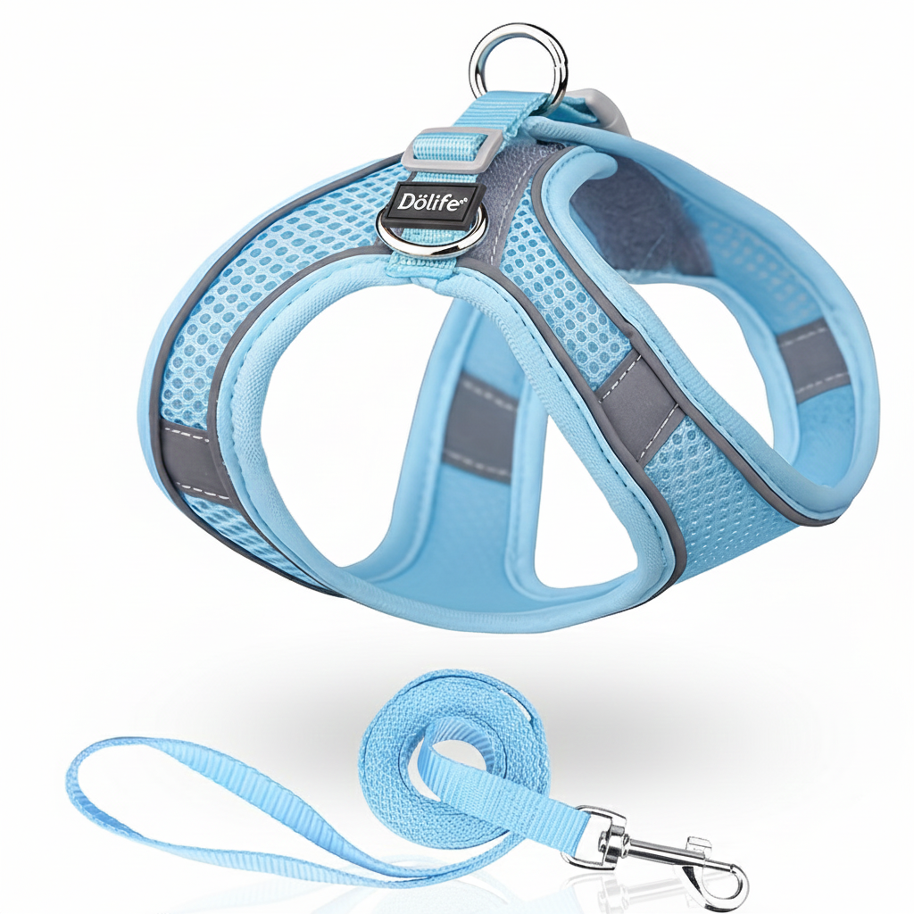 Ensemble Harnais Gilet Confort & Laisse Assortie – Respirant et Anti-Traction