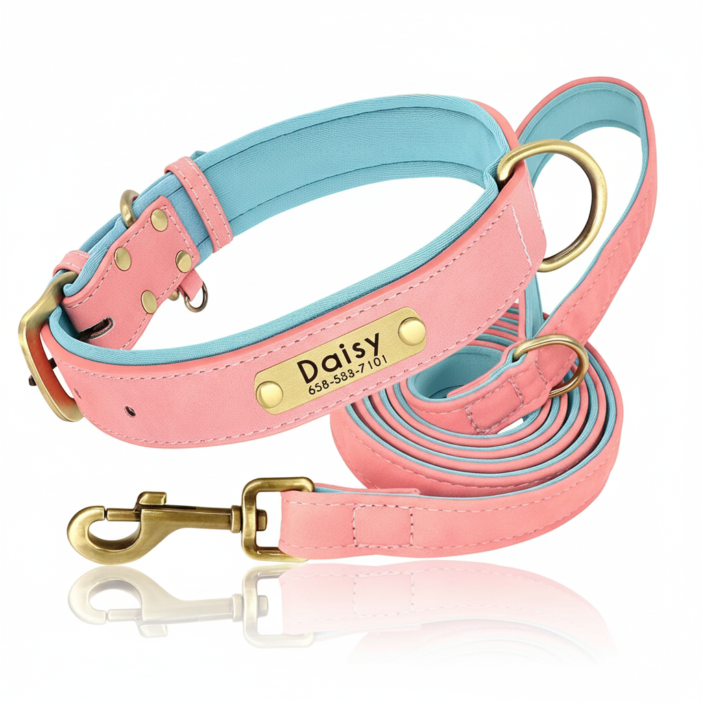 Personalized Padded Leather Collar & Leash Set – Free Custom Engraving