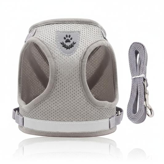 Ensemble Harnais Gilet & Laisse Anti-Fugue – Confort Respirant et Haute Visibilité