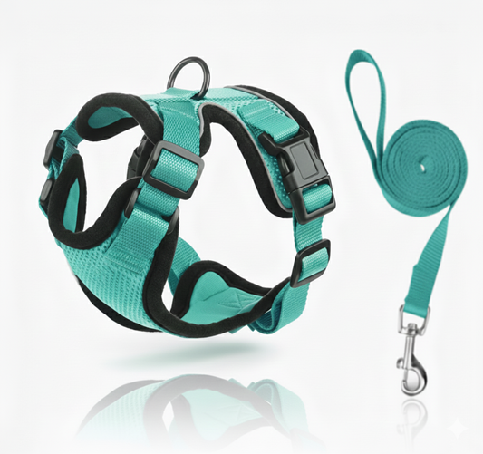 Escape-Proof Cat Harness & Leash Set – Soft Mesh Adjustable Walking Vest