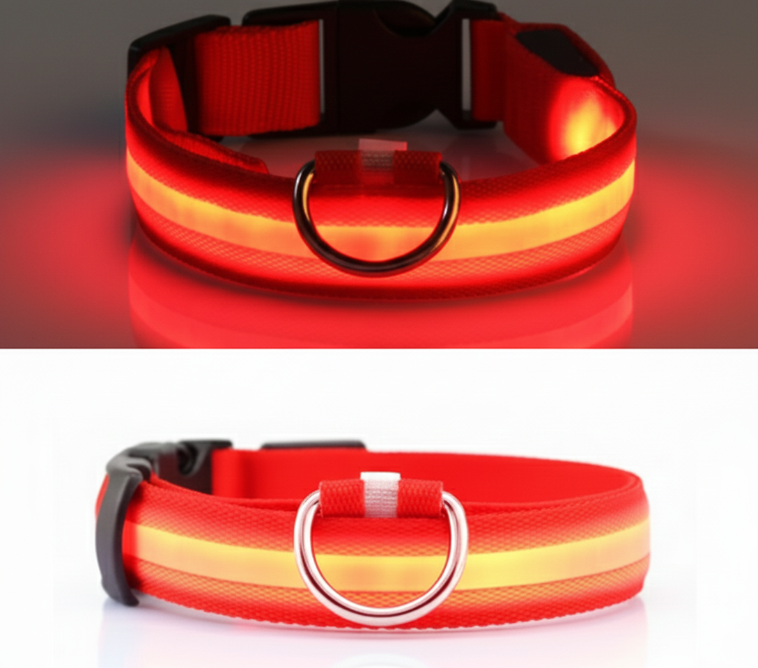 Collier LED Haute Visibilité Rechargeable USB – Sécurité Nocturne & Anti-Perte pour Chien