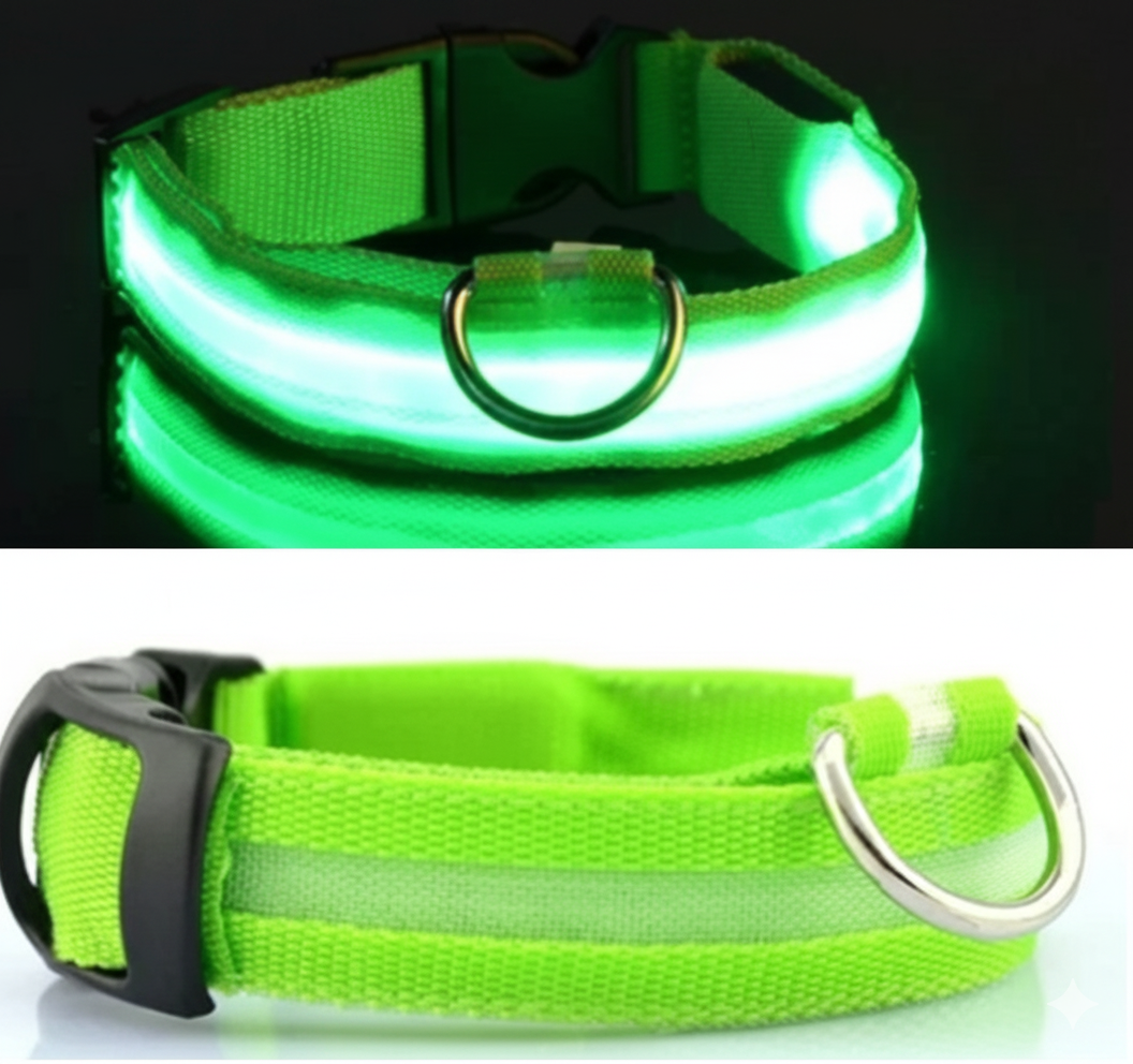 Collier LED Haute Visibilité Rechargeable USB – Sécurité Nocturne & Anti-Perte pour Chien