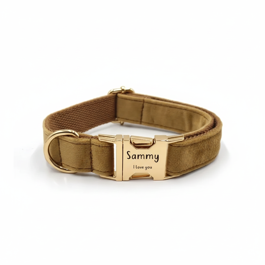 Personalized Velvet Dog Collar with Engraved Metal Buckle – Soft & Adjustable