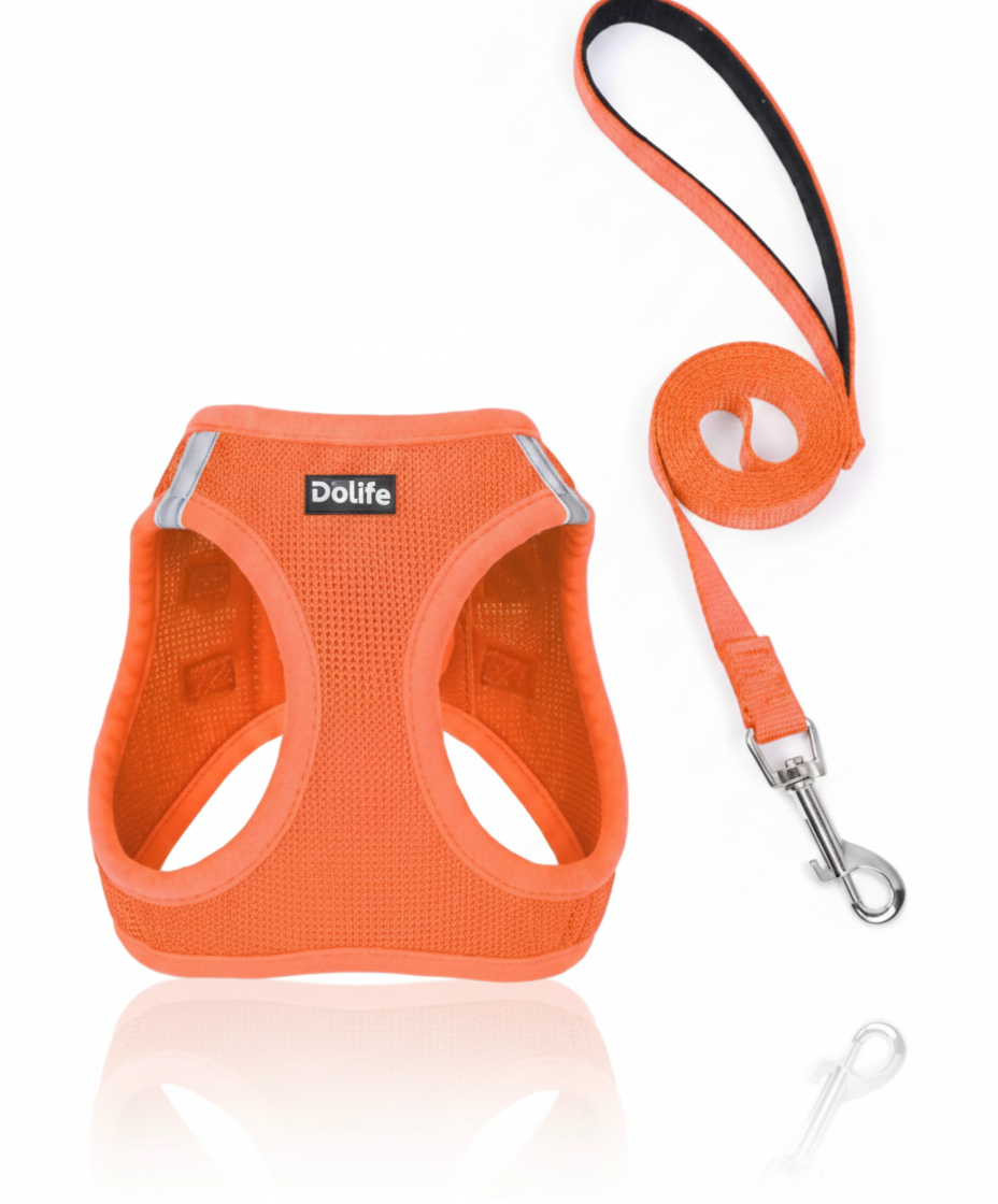 Ensemble Harnais Gilet "Step-In" & Laisse – Confort Respirant et Sécurité Nocturne