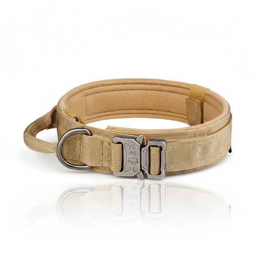 Collier Tactique Haute Résistance – Confort Rembourré & Boucle Métal Sécurisée