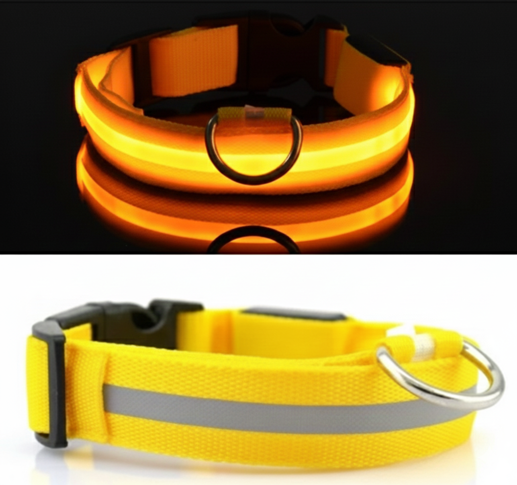 Collier LED Haute Visibilité Rechargeable USB – Sécurité Nocturne & Anti-Perte pour Chien