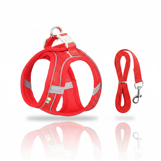 Ensemble Harnais Gilet & Laisse pour Petits Chiens et Chats – Confort Respirant et Sécurité Nocturne