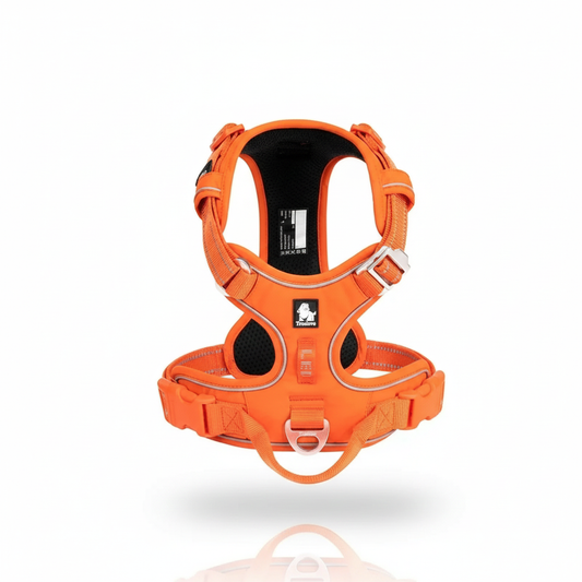 Harnais Chien PREMIUM – Gilet Ergonomique Step-in, Rembourré et Réfléchissant