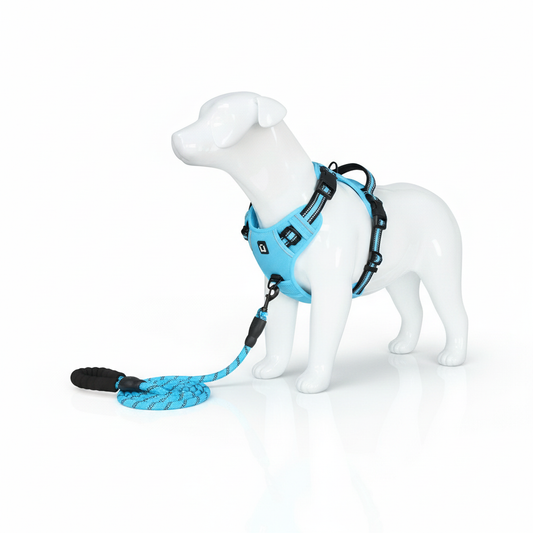 Ensemble Harnais Veste Anti-Fuge & Laisse Réfléchissante – Sécurité Maximale