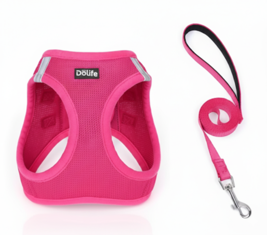 Ensemble Harnais Gilet "Step-In" & Laisse – Confort Respirant et Sécurité Nocturne
