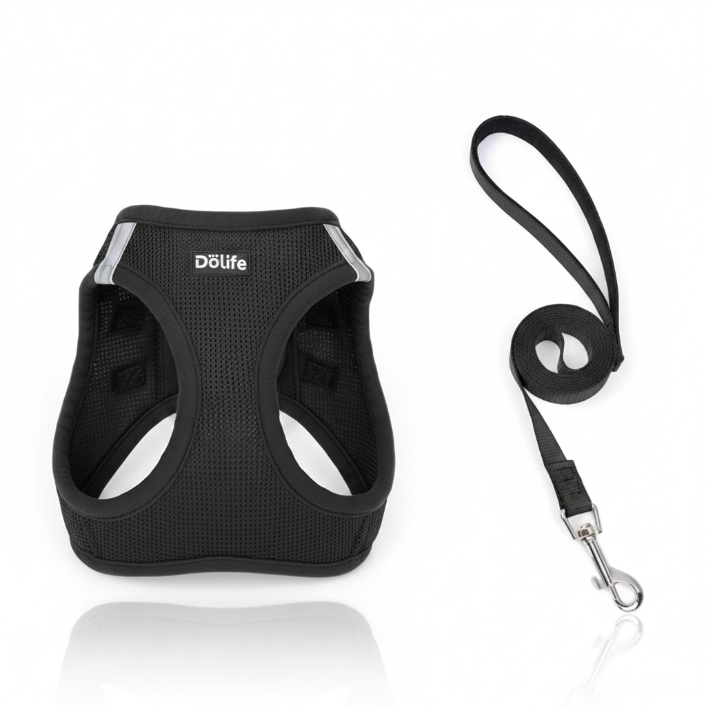 Ensemble Harnais Gilet "Step-In" & Laisse – Confort Respirant et Sécurité Nocturne