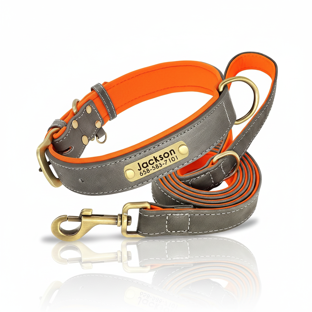 Personalized Padded Leather Collar & Leash Set – Free Custom Engraving