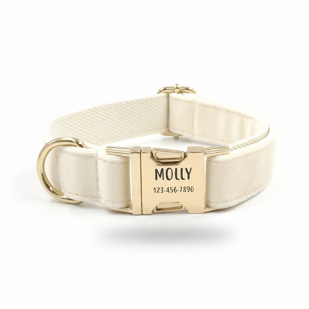 Personalized Velvet Dog Collar with Engraved Metal Buckle – Soft & Adjustable
