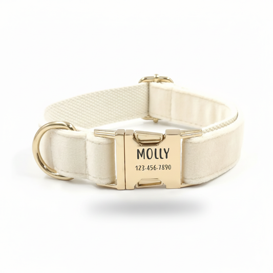 Personalized Velvet Dog Collar with Engraved Metal Buckle – Soft & Adjustable
