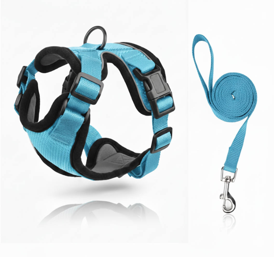 Escape-Proof Cat Harness & Leash Set – Soft Mesh Adjustable Walking Vest