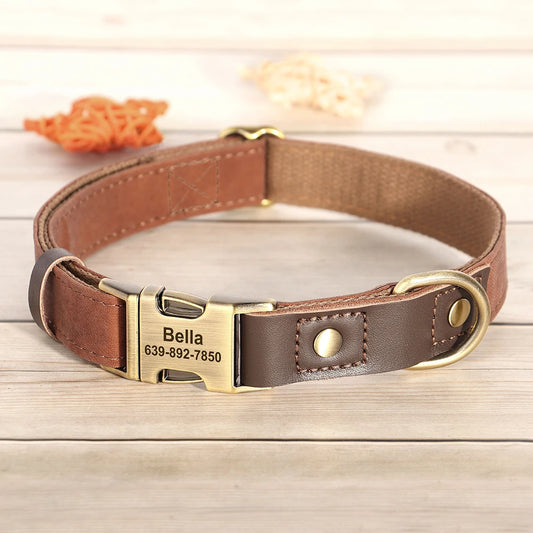 Collier pour Chien Personnalisé en Cuir PU – Style Élégant & Sécurité Maximale