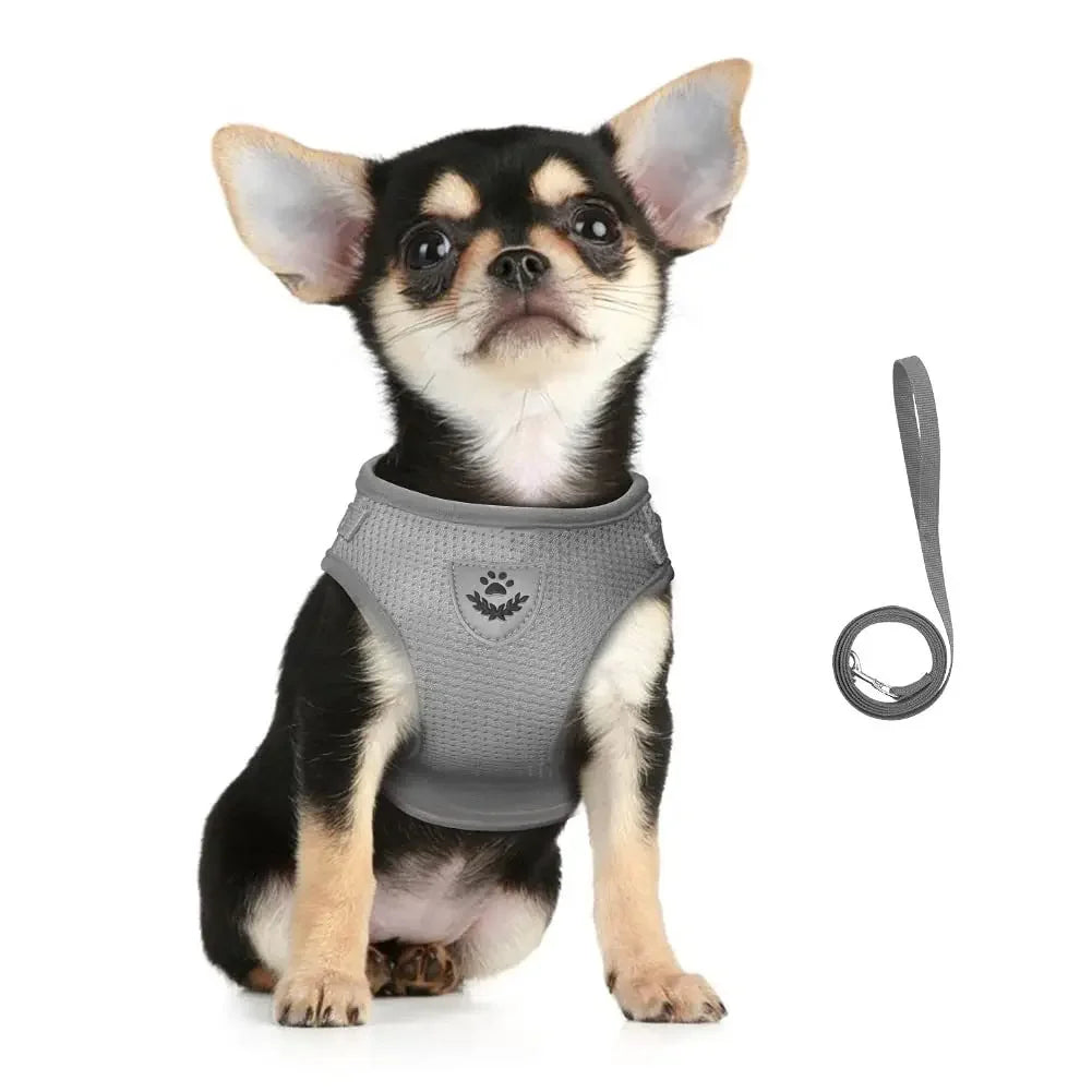 Reflective Breathable Mesh Harness & Leash Set – Escape-Proof Vest for Cats & Small Dogs