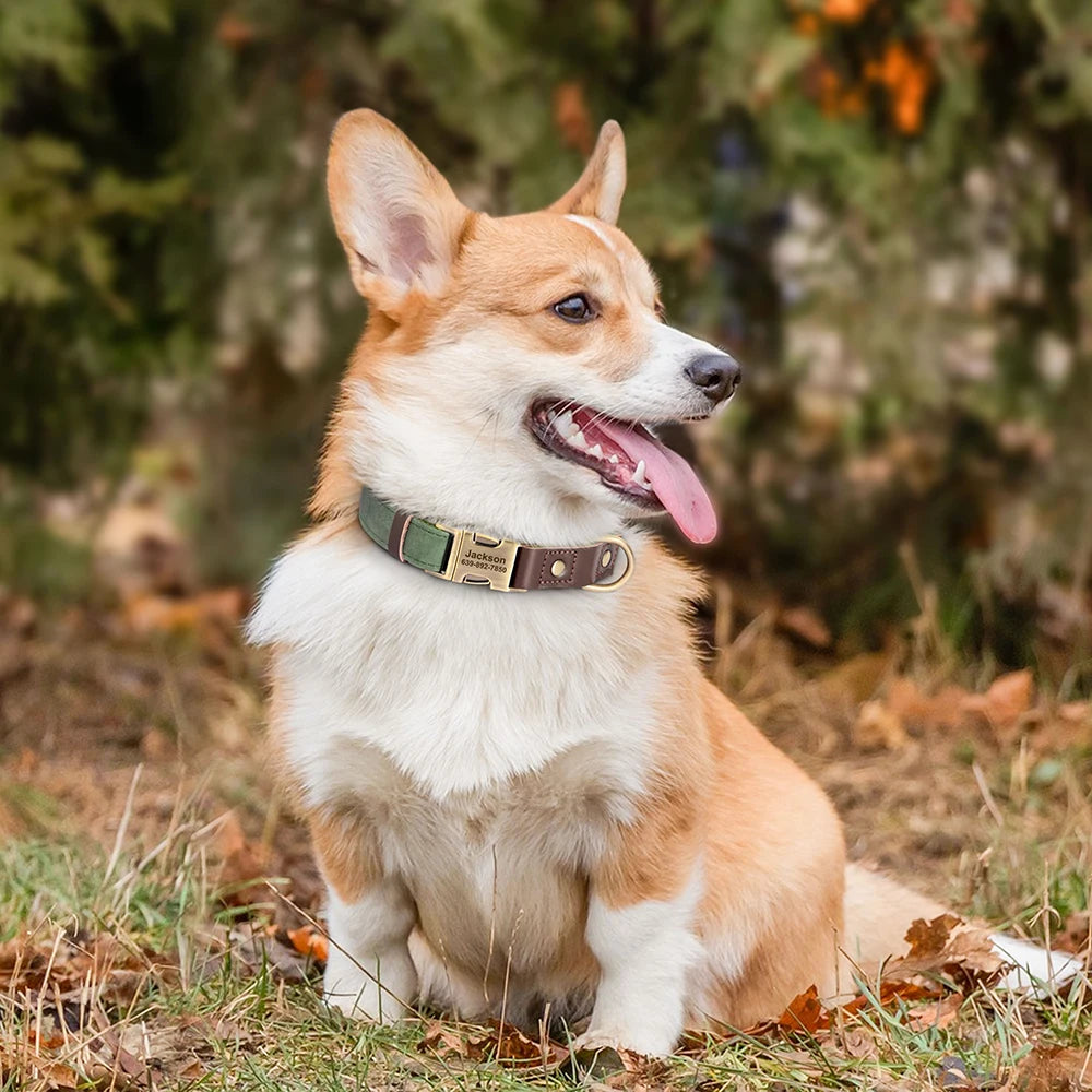 Custom Engraved PU Leather Dog Collar – Personalized Nameplate & Durable Fit