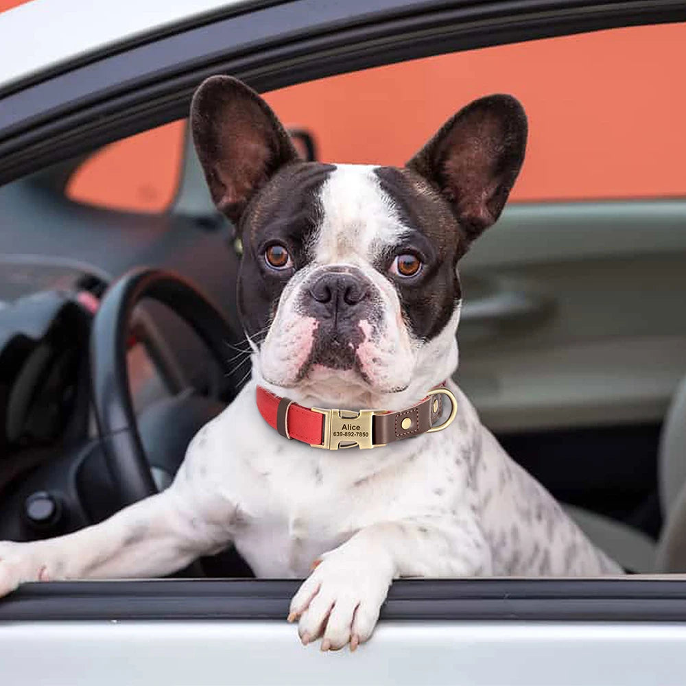 Custom Engraved PU Leather Dog Collar – Personalized Nameplate & Durable Fit