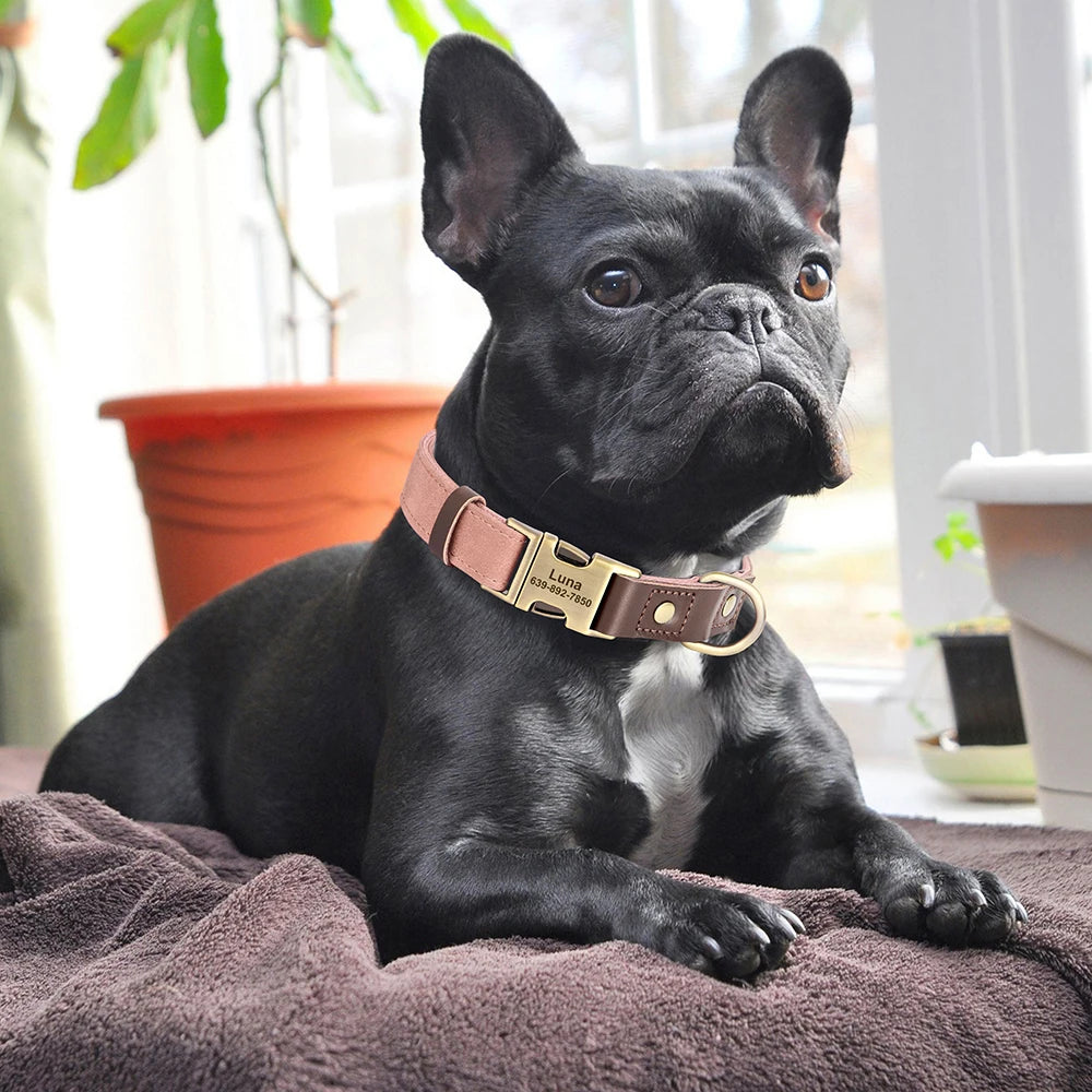Custom Engraved PU Leather Dog Collar – Personalized Nameplate & Durable Fit