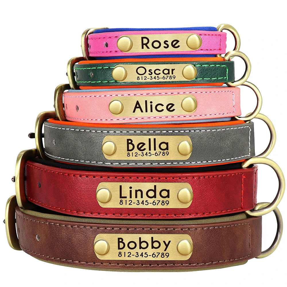 Personalized Padded Leather Collar & Leash Set – Free Custom Engraving